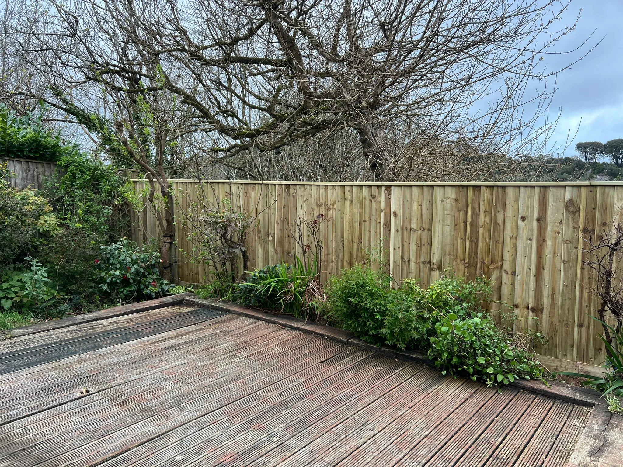 Feather-Board Fence Installation in Torquay: Engineering Boundaries for Coastal Winds