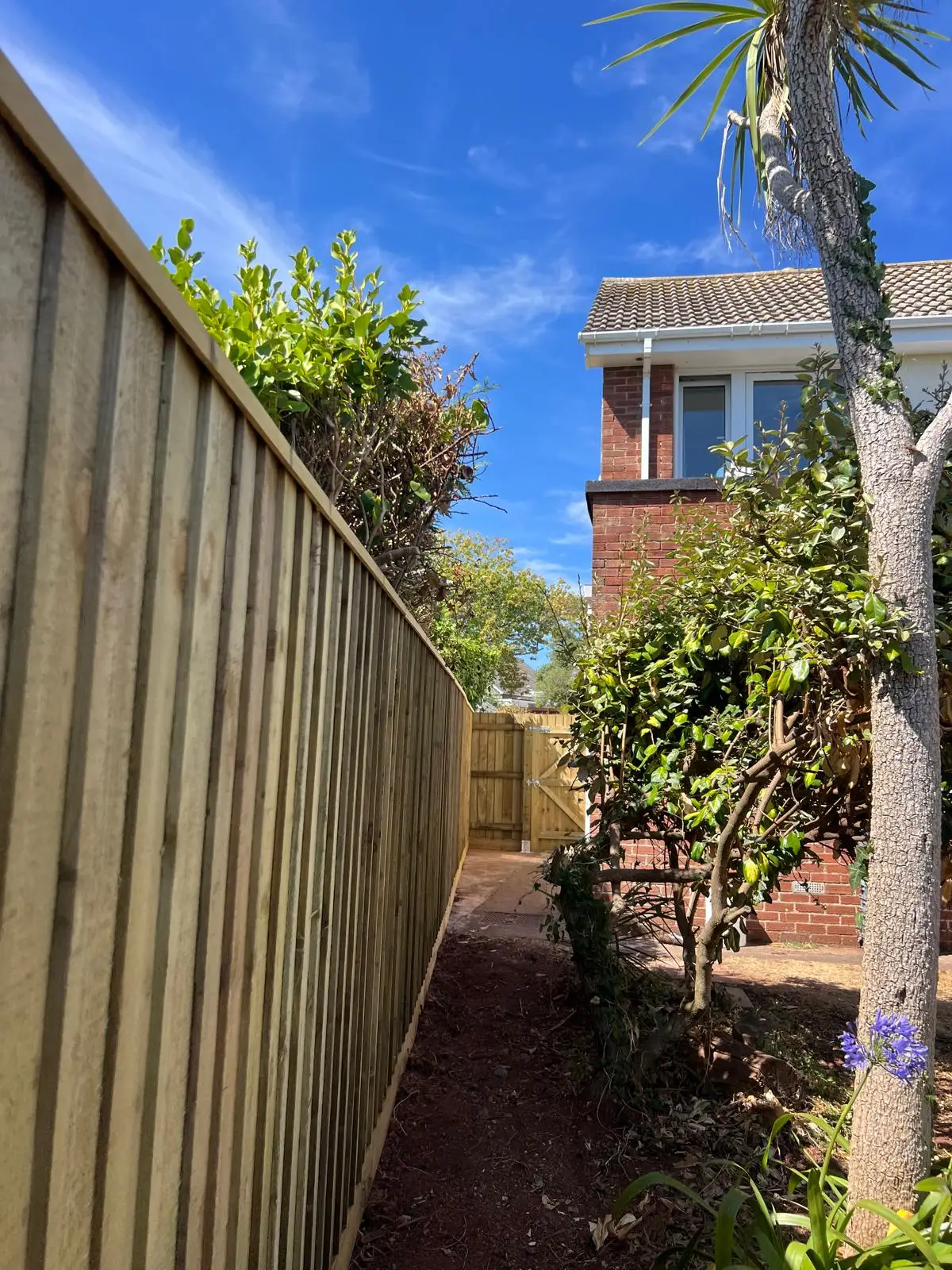 Finished fence and gate from a wider angle showing the full installation