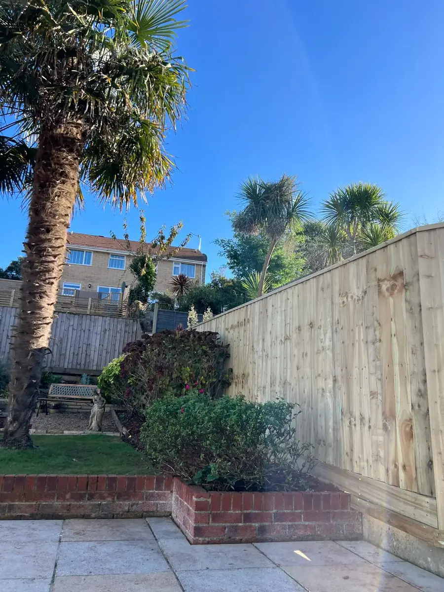 New 6ft featherboard fence with rebated capping beside a patio in a Brixham garden