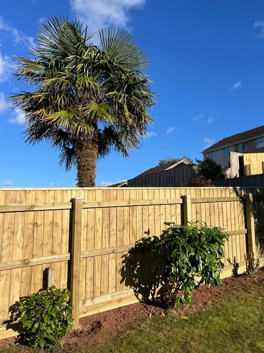 Rail side of a new 6ft featherboard fence in Brixham showing timber posts, rails and gravel board