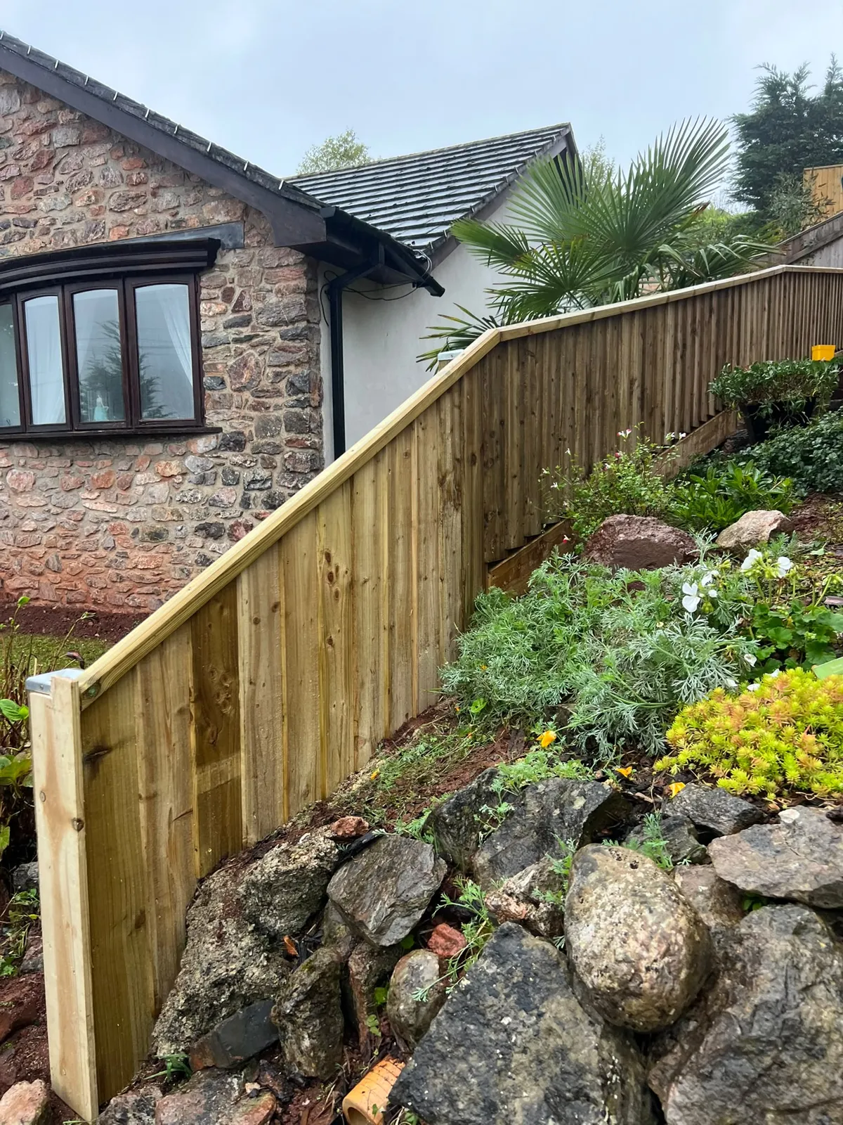 Low 3ft closeboard boundary fence with capping rail stepping up a sloping Paignton garden beside a rockery