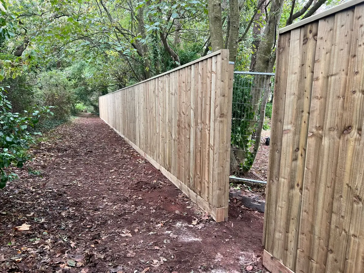 Featherboard fence in Wellswood, Torquay, seen from the public footpath with woodland alongside