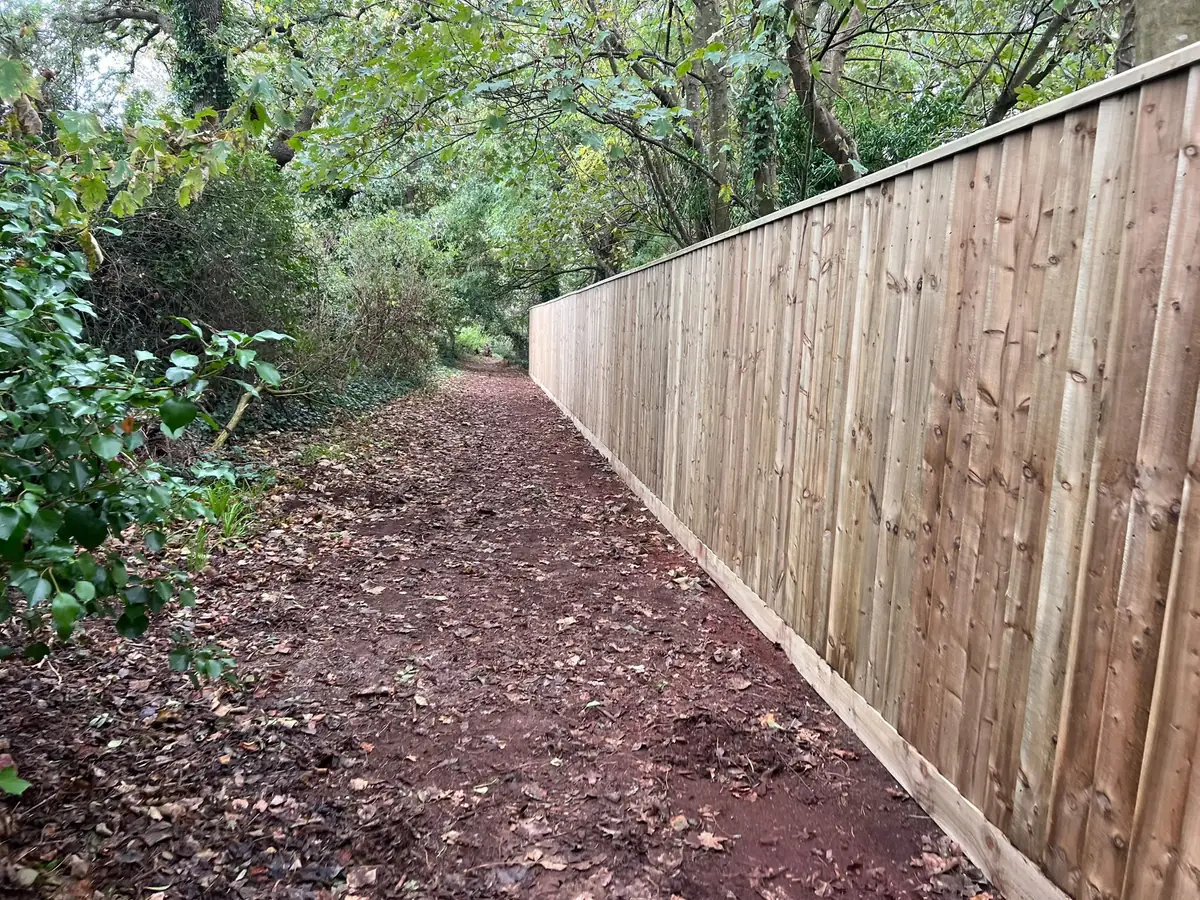 New featherboard fence and the wooded public footpath it borders in Wellswood, Torquay