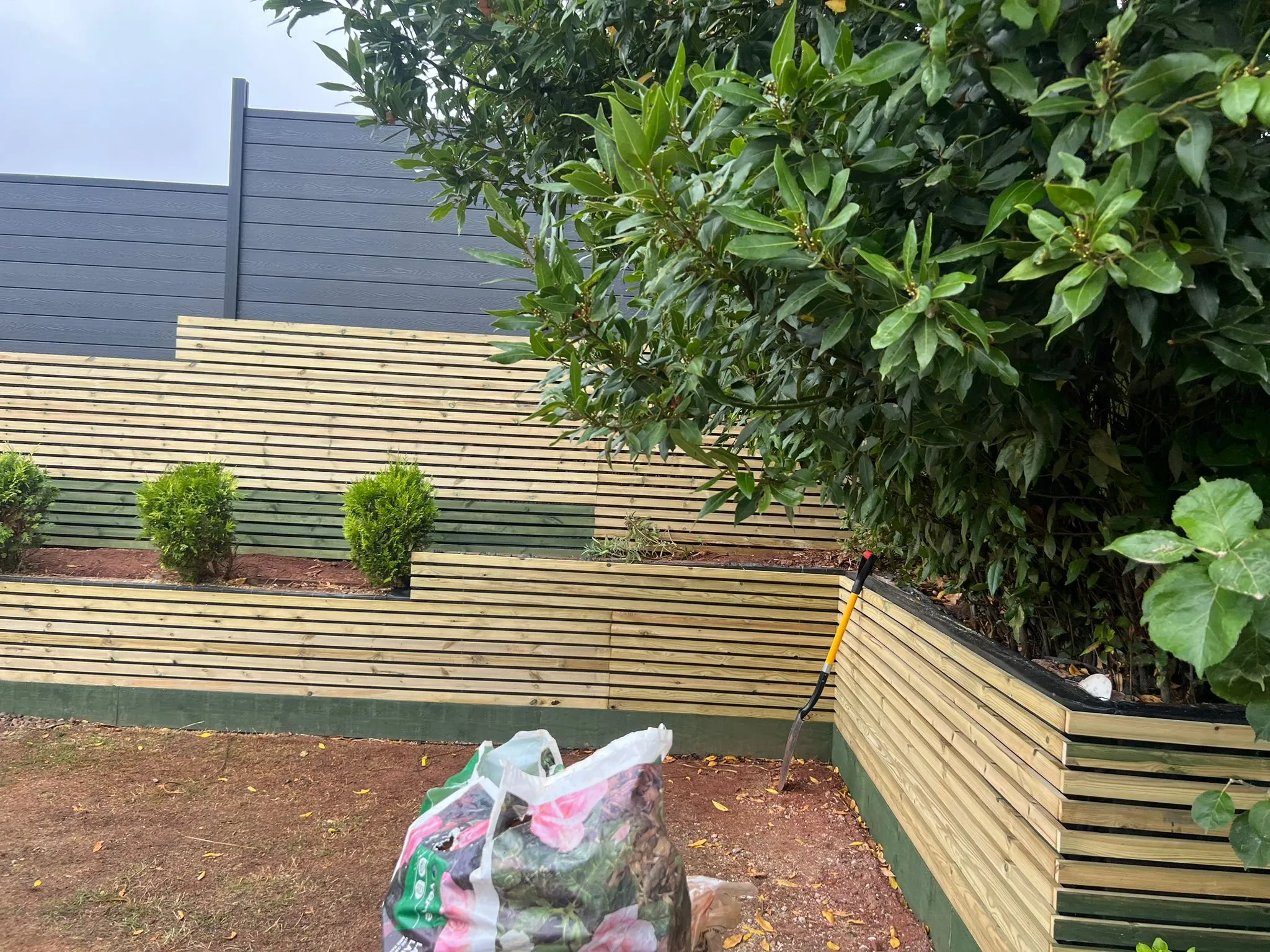 A planting detail against the new slatted screen - the timber makes a warm backdrop for the beds.