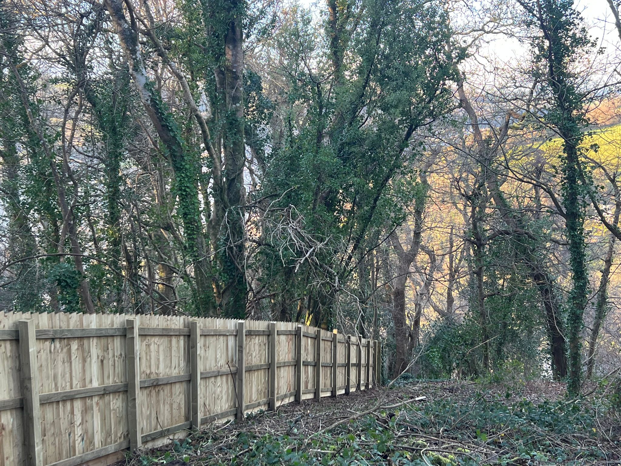 Securing a Woodland Plot in Dartmouth: Site Clearance & Feather-Board Fencing