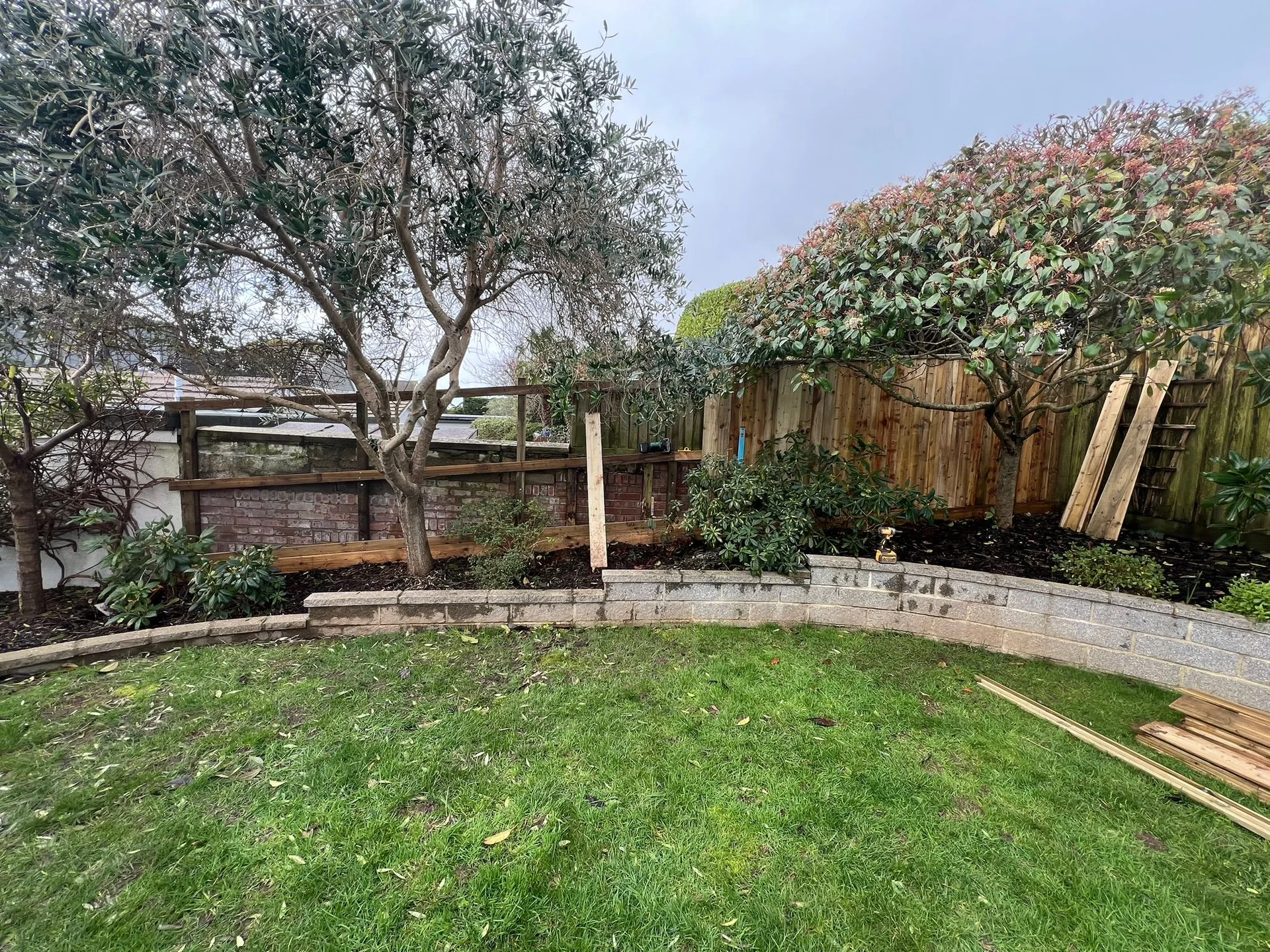 Shared boundary fence from neighbour's side